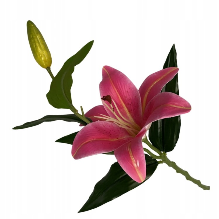 72541921c5aee1ec8850ec0f44f974f5