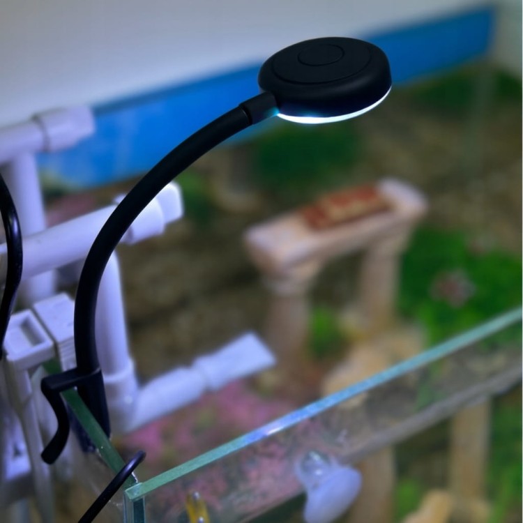 38f8767d1cc0c0f81c6e9fad60be52f7