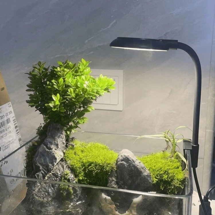 ff60cc4b0b5124ecee3b6f21078401fd