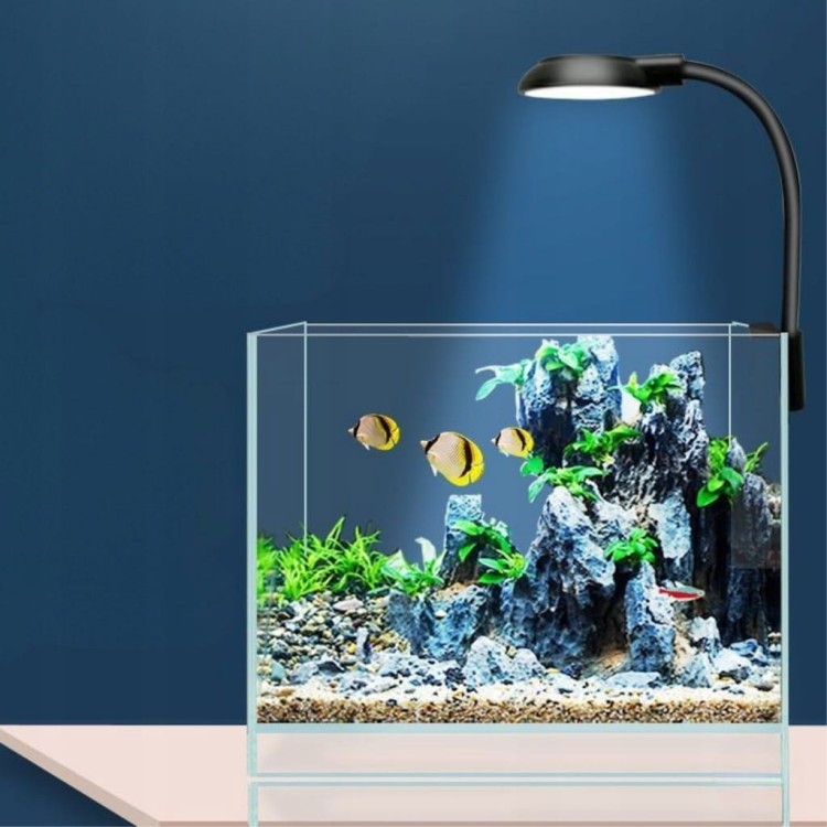 2d26ccb55e72c894b381519c43311b58