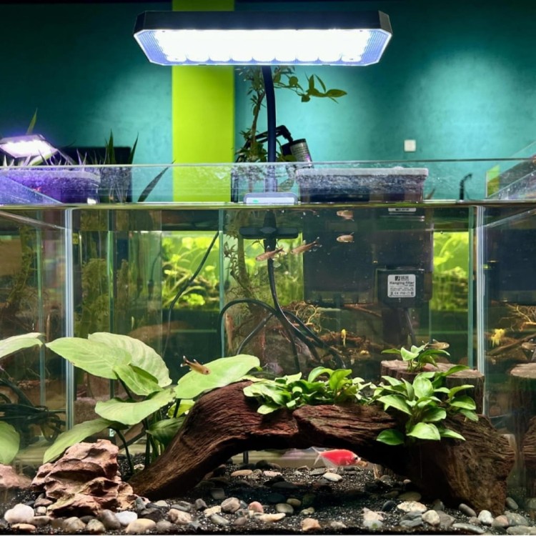 16555a553911b2e5425bdede67a66514