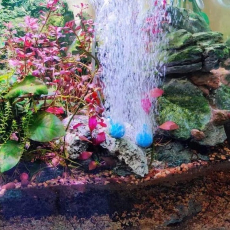 7778caa7b0a9bac04673de274389f1d4