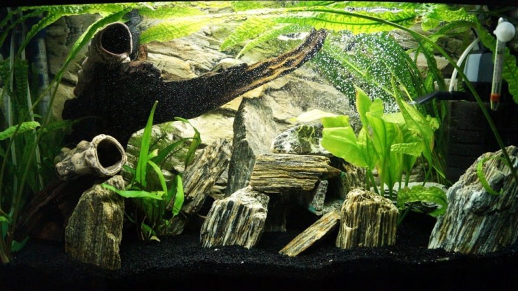 adf507e2ca824410033acf53ef2dd90a