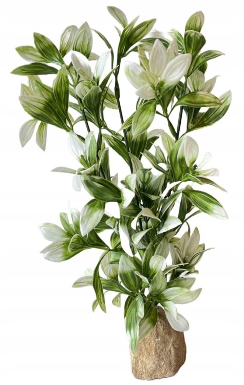 e020113ba0e073cf08b5dbe8005a60a7