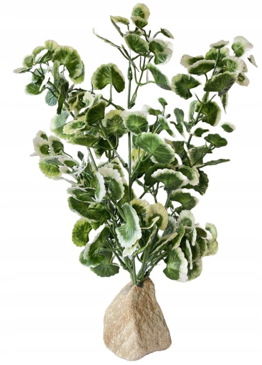 c41285e96c97febc4ca524259a5b6e5f