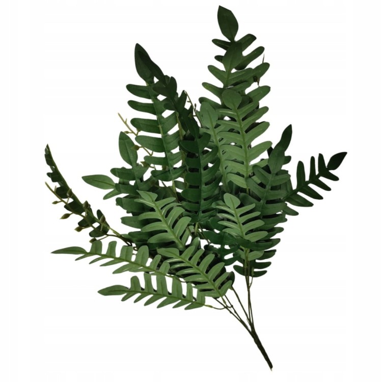 ac307ff9e92eb9e2f88f61f2d3e238f2