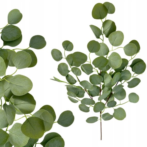 3fe26700841b9aeb6864f31a01074259