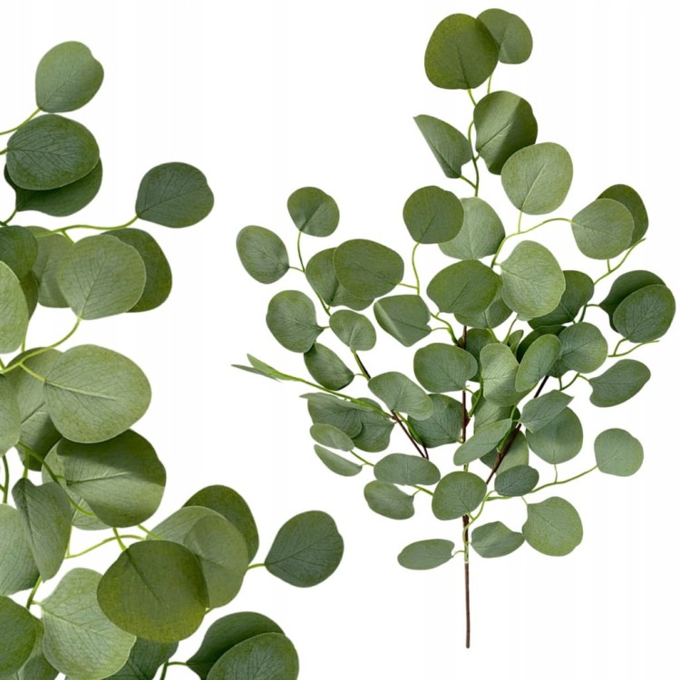 3fe26700841b9aeb6864f31a01074259