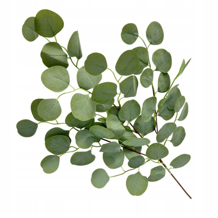 66ecf7d1c8934d02715b6bbe8bfcca34