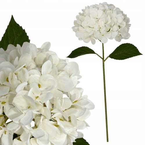 5cd56d49f032378025c067ad6e02f4af