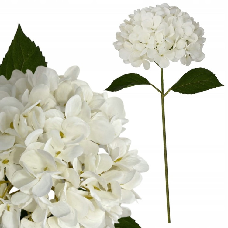 5cd56d49f032378025c067ad6e02f4af