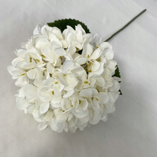 962a0d3019f162671a38264c2e802948