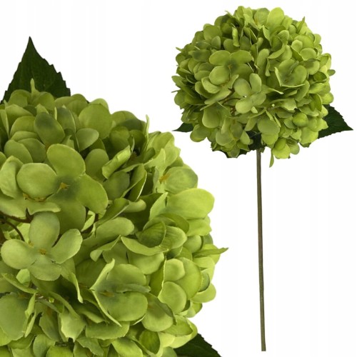 d7622c90da577cb476ac85719c9e4d7a