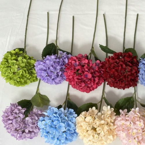 c9abc3f2ad18df2124a515a7bbbc6d99