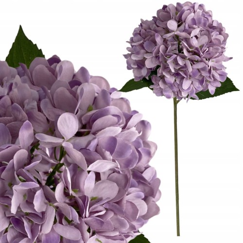 56914f4e79a03720431f51a6ba6c3689