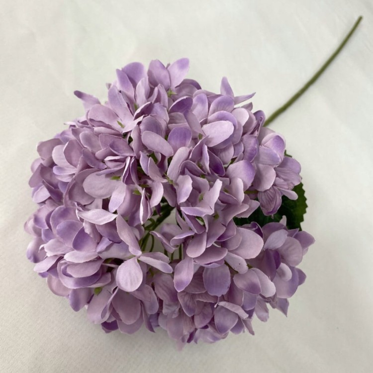 457a8b639705d28e455ef0d17c6ff8ca