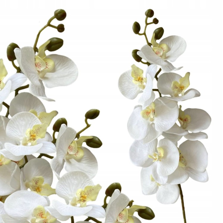 a156e973867d2b0a640049a36950cc41