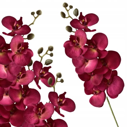 26fcb6b97940a382b9b0902c6aabac3a