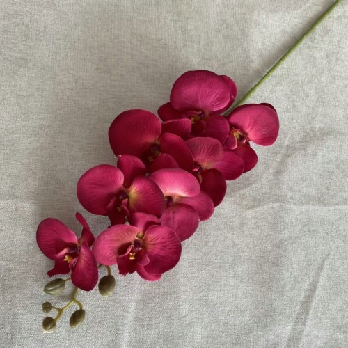 3eb7b160aa0c6bbd1081cbeb43a85a17