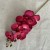 3eb7b160aa0c6bbd1081cbeb43a85a17
