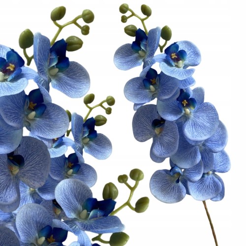 eaf8210fb08044dea98d7950f9bf1d35