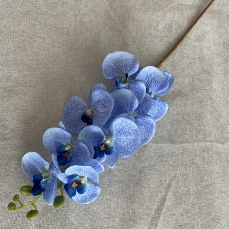 8e5ae9fda1da0b06b4bf524ea6b7c050