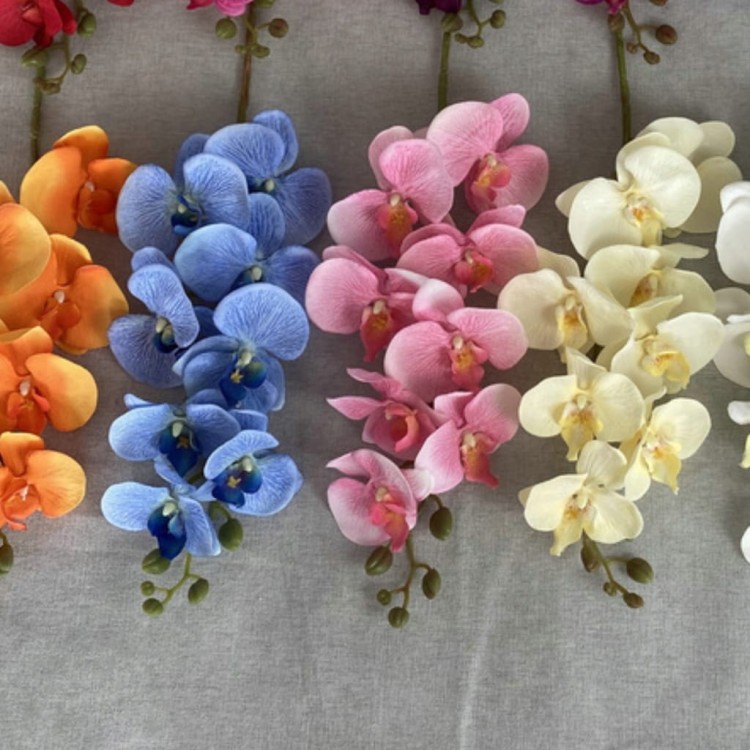 a973b8442f946d200dd3546e63125769