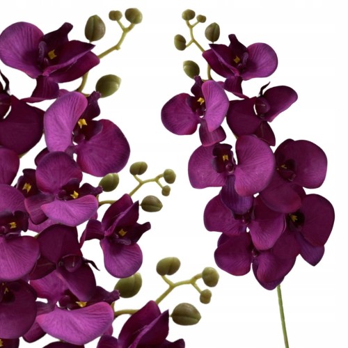 cb6ecf0c99d269018ac4338fb4898f0b