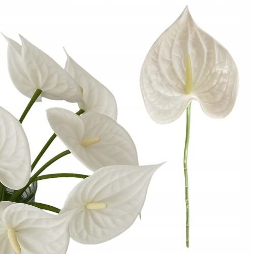 cefec9bba60343ab1817b26506613d96