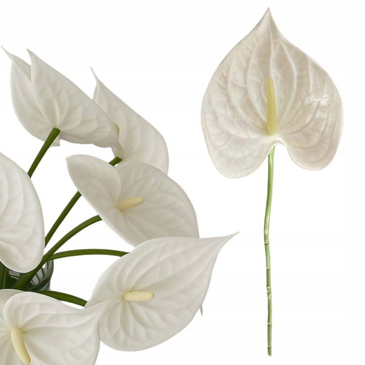 cefec9bba60343ab1817b26506613d96