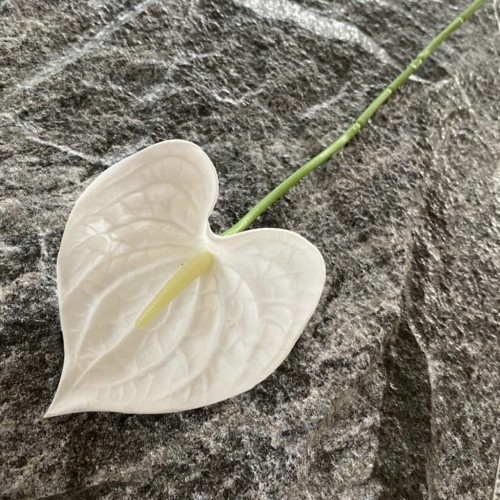 7df320bedcf081b669d98fdf0dcba927