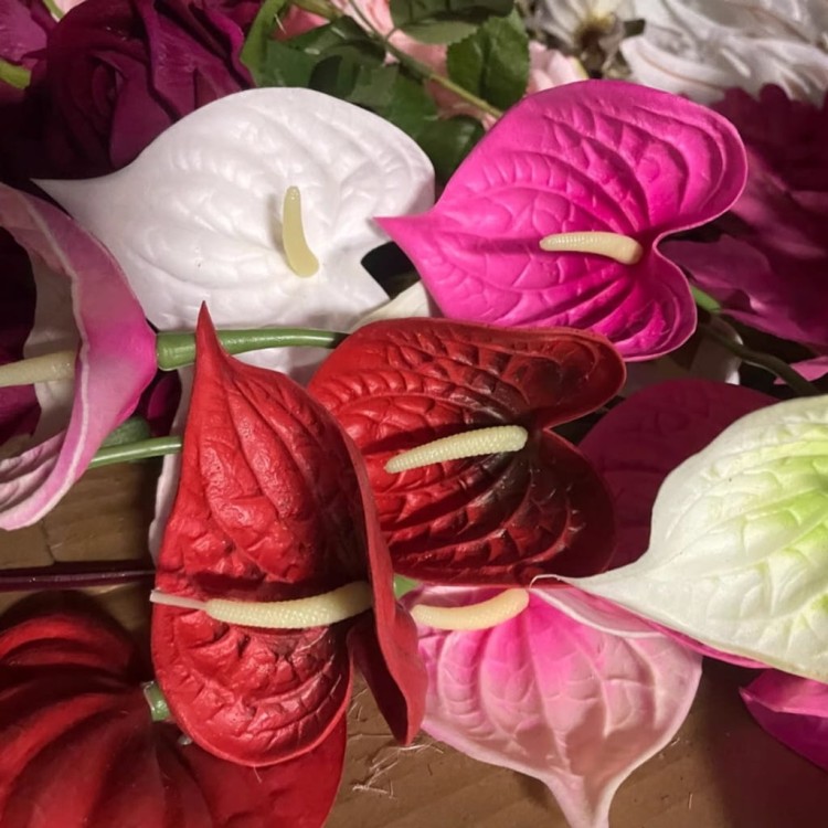 a09126deb2387308fe9c11ef47b0db43