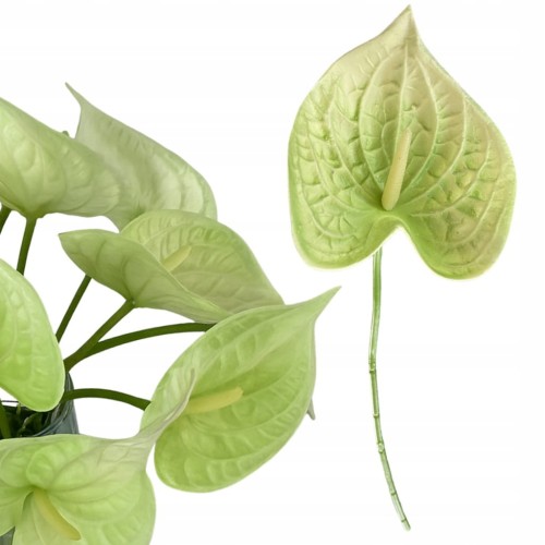 4d02fdf17e534e58cc0cf6c8e367ea2a