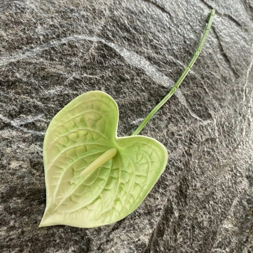 7451829bacd03807a3db6ae307fcddf0