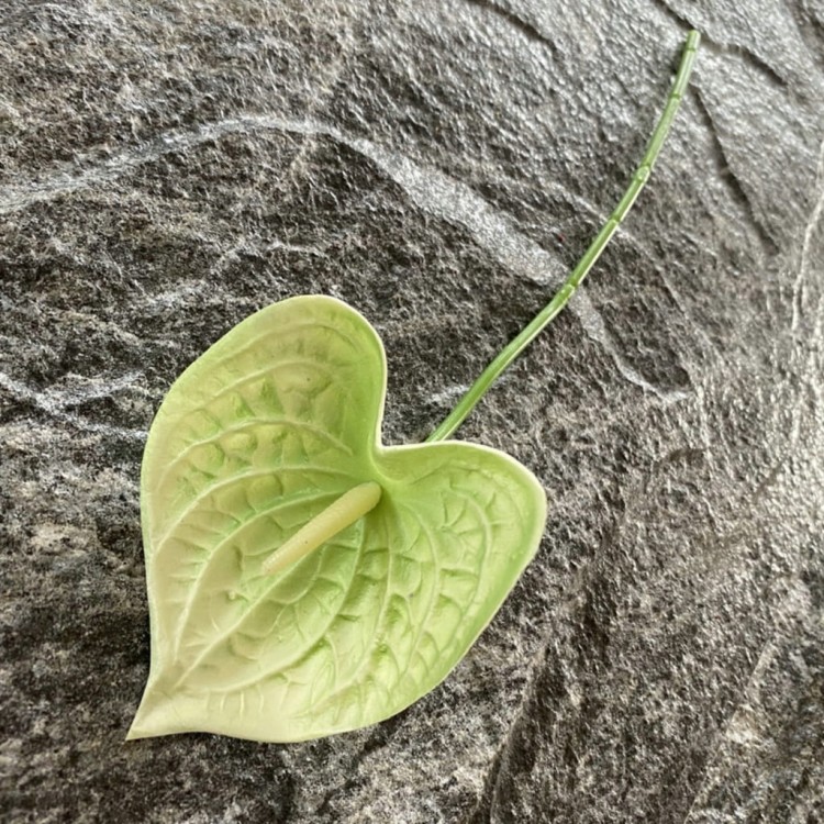 7451829bacd03807a3db6ae307fcddf0