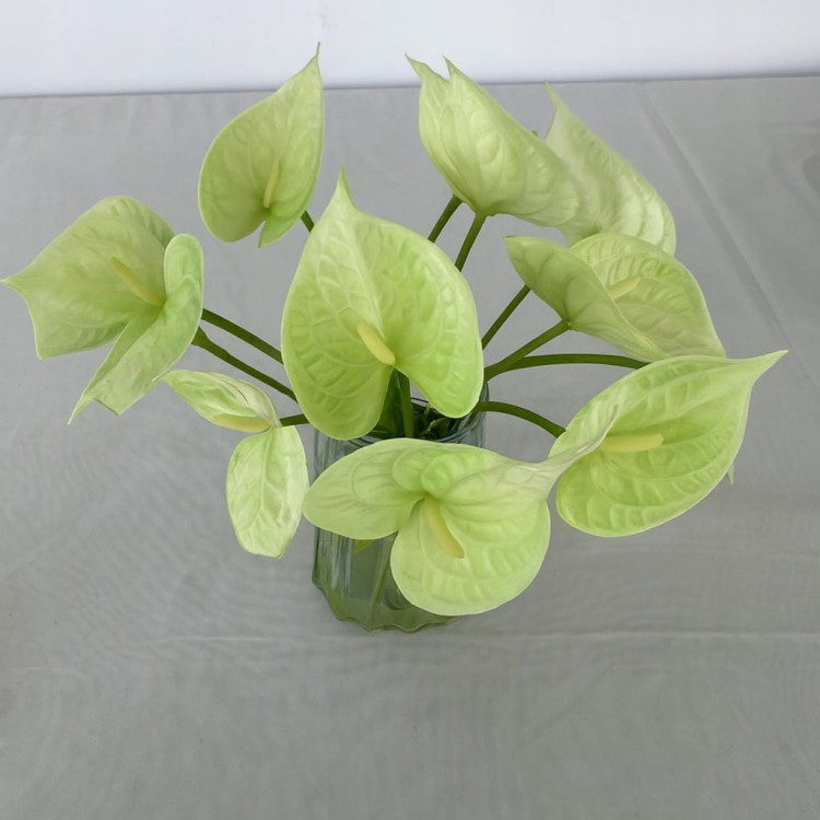 e0565e831361191c9992bfca64745105