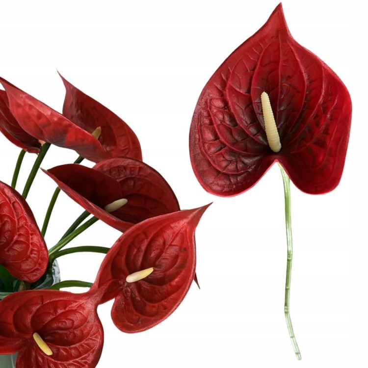 1f30bee20ca84e1ed4f8636c81cf8d3d