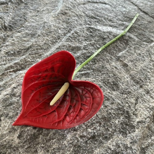 962c86289bb100fcb6080c0116d4c0bf