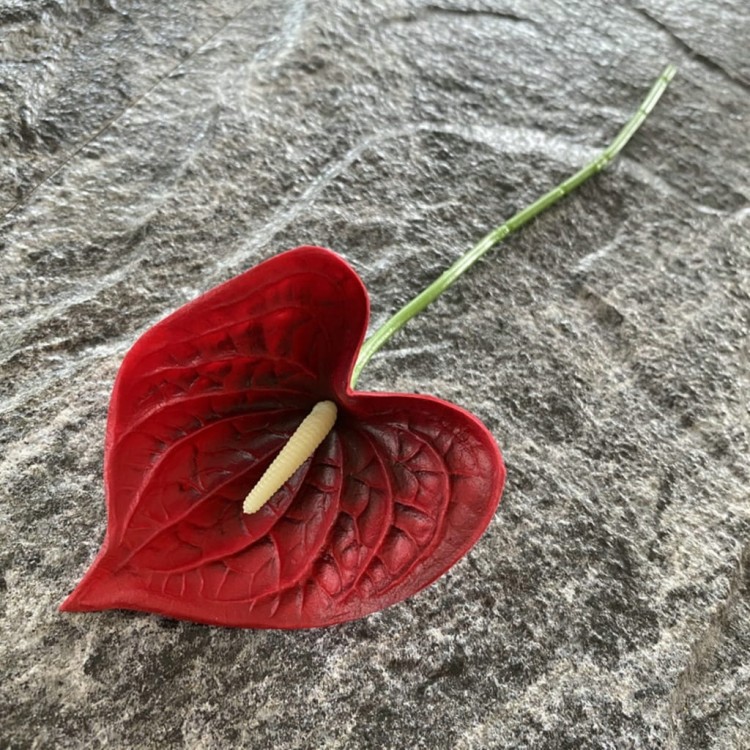 962c86289bb100fcb6080c0116d4c0bf