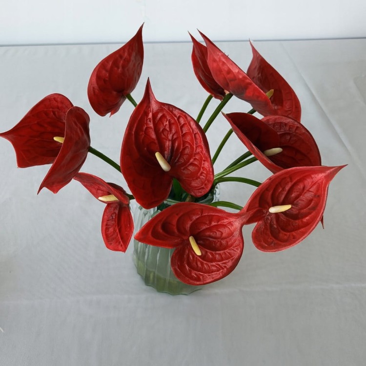 d4ec220120686dc4d09a4ac2ff8a7704