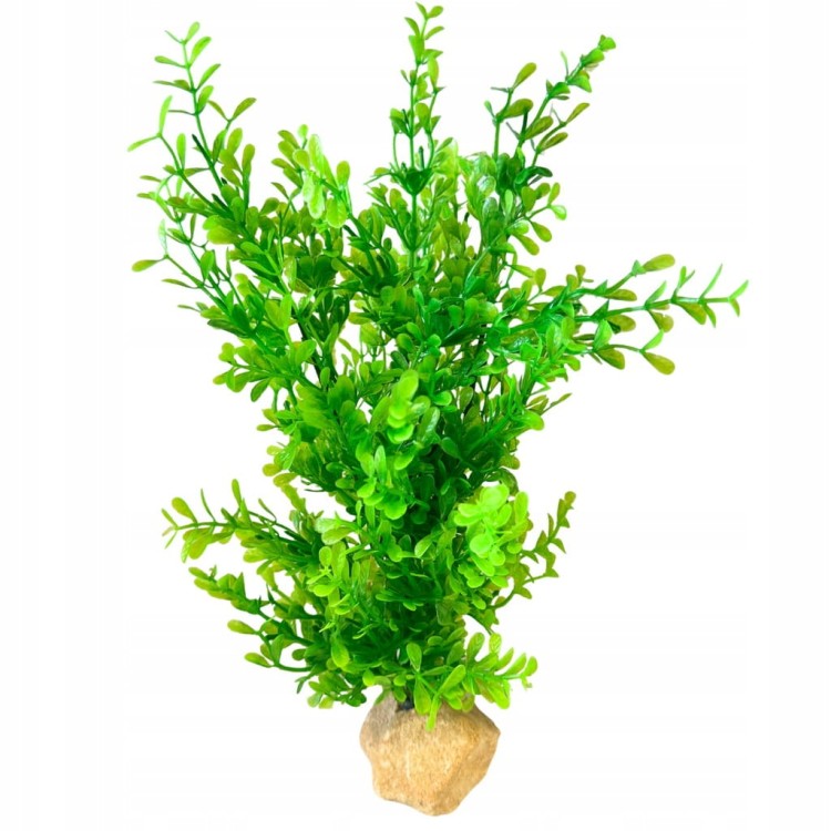 afea4be44d4ee3bcc6598b87e8357733