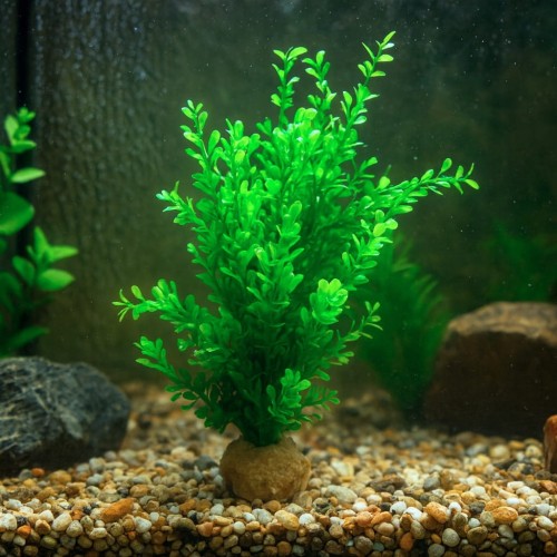 e266c4384505ba56a875952889b58c8c