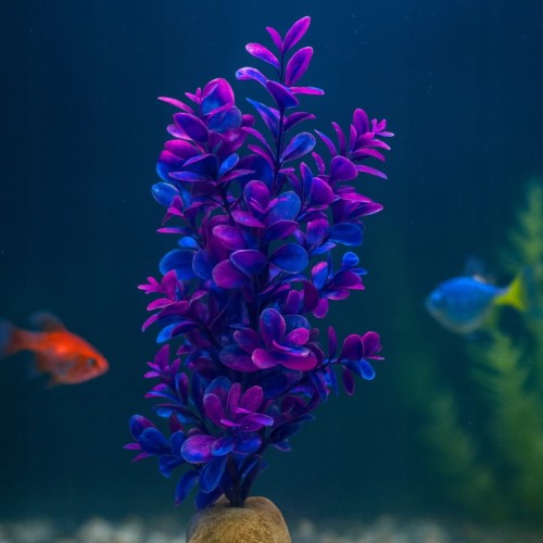 17918e2fba611115668ba68491a0010a