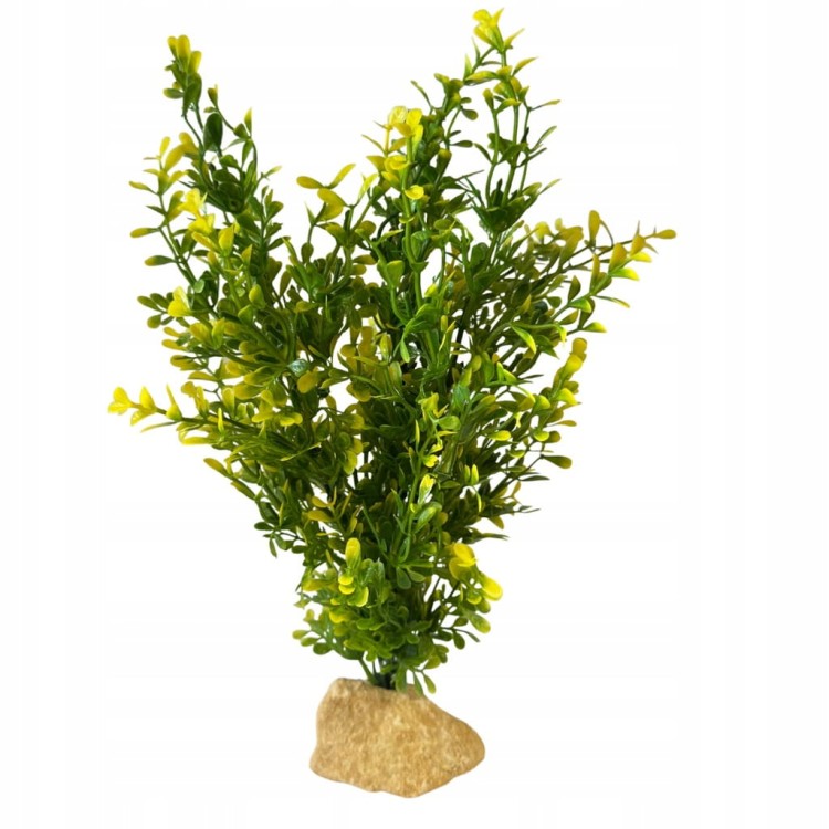 159c575f860f8d9a5cfa8d4e317e3544