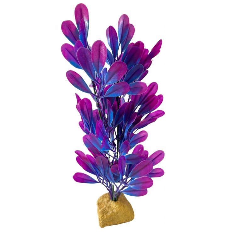 e206e336b100e64ecfd9a0e1b9d1dc91