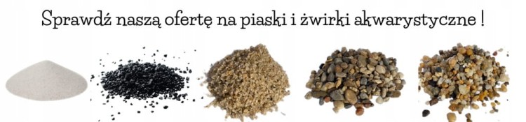 c1e8cf243a19e2b613a4baba3d17bf25