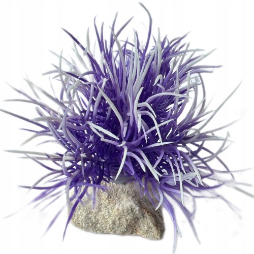 c2430b829deb54008cdef275117f99f2