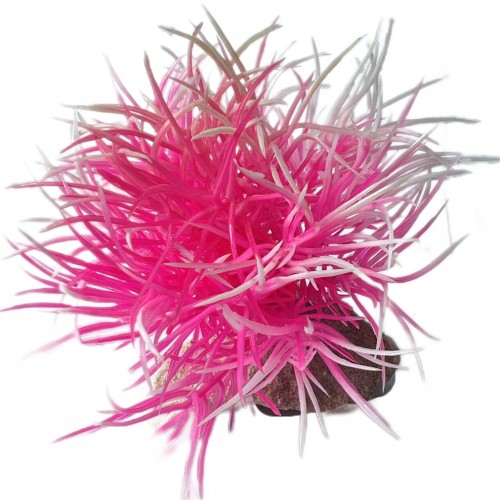 50d27edf37196449cbad387f00f41540