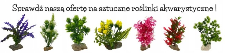 339a6ab7ff04b43a5bb4961d04872b4f