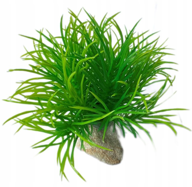 58355d0b0543db5437c54f45df122cb4